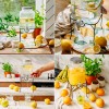 BORCAN LIMONADA 4 L CU STAND SI ROBINET
