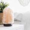 LAMPA SARE DE HIMALAYA LAMPA SARE DE HIMALAYA