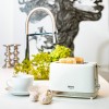 TOASTER 6 NIVELURI DE RUMENIRE 900W CR 3219 CAMRY TOASTER 6 NIVELURI DE RUMENIRE 900W CR 3219 CAMRY