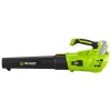 SUFLANTA FRUNZE ACUMULATOR 20V FIELDMANN
