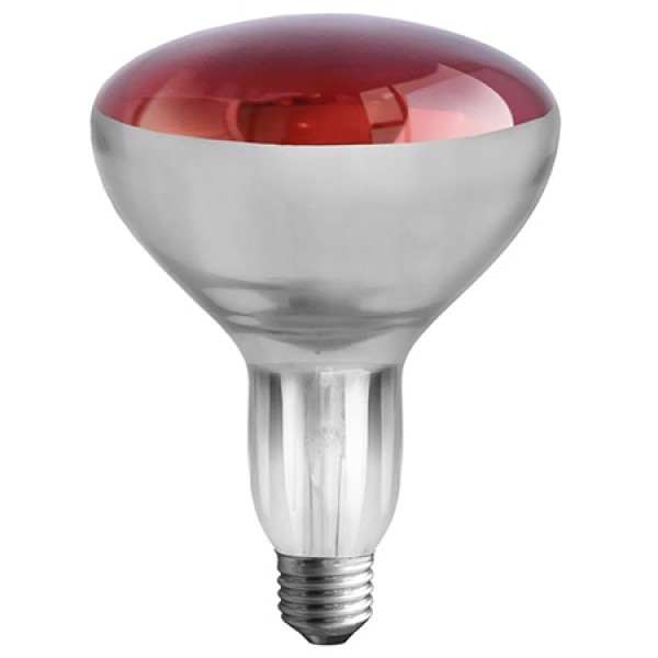 BEC INFRAROSU ISKRA 250W