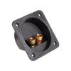 CONECTOR BOXA 2 TERMINALE GOLD CONECTOR BOXA 2 TERMINALE GOLD