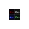 Banda led ip65 rgb+w smart wi-fi 2m cu control versatil