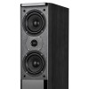 SISTEM AUDIO PASSION NEGRU KRUGER&MATZ