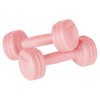 Ganteră compozit 2 x 1 kg rebel active - greutate ideală pentru antrenamente Ganteră compozit 2 x 1 kg rebel active - greutate ideală pentru antrenamente