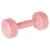 Ganteră compozit 2 x 1 kg rebel active - greutate ideală pentru antrenamente Ganteră compozit 2 x 1 kg rebel active - greutate ideală pentru antrenamente
