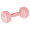 Gantera compusit 1.5 kg rebel active - set de 2 cu acoperire pvc Gantera compusit 1.5 kg rebel active - set de 2 cu acoperire pvc