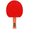 Set tenis de masă ping pong rebel active - 2 palete, 3 mingi, fileu albastru Set tenis de masă ping pong rebel active - 2 palete, 3 mingi, fileu albastru