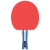 Set tenis de masă ping pong rebel active - 2 palete, 3 mingi, husă de protecție Set tenis de masă ping pong rebel active - 2 palete, 3 mingi, husă de protecție