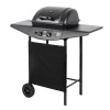 GRILL 2 ARZATOARE GAZ BBQ 2000 TEESA