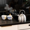 Ceainic cu fluier teesa 1.8l din oțel inoxidabil, mâner pliabil