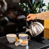 Ceainic cu fluier teesa 1.8l din oțel inoxidabil, mâner pliabil