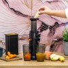 SLOW JUICER TEESA