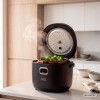 MULTICOOKER APARAT GATIT OREZ 2L 12-24V / 230V TEESA