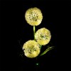 LAMPA LED SOLARA DECORATIVA REBEL LAMPA LED SOLARA DECORATIVA REBEL