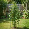 SUPORT PLANTE TIP SPALIER CU 3 NIVELE - 11MM/1800MM