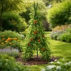 SUPORT PLANTE TIP PIRAMIDA CU 1 NIVEL - 11MM/1500MM SUPORT PLANTE TIP PIRAMIDA CU 1 NIVEL - 11MM/1500MM