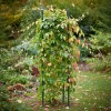 SUPORT PLANTE GHIVECI CU 3 INELE - 7MM/450MM