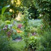 SUPORT PLANTE TIP ARAC SPIRALAT - 8MM/1800MM SUPORT PLANTE TIP ARAC SPIRALAT - 8MM/1800MM