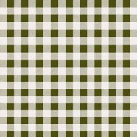 FATA MASA PVC - 160G/M2 / 1.37X20M / CARO-OLIVE