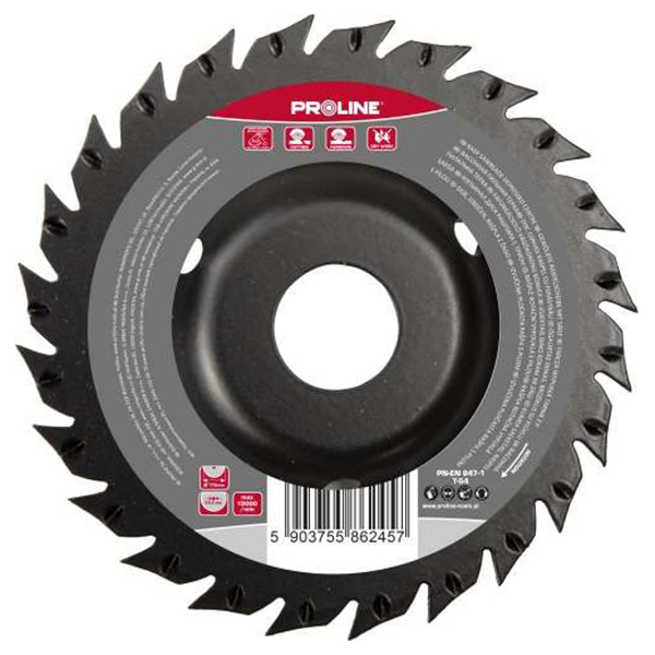 DISC RASPEL CIRCULAR DEPRESAT / FRONTAL-LATERAL - 125MM DISC RASPEL CIRCULAR DEPRESAT / FRONTAL-LATERAL - 125MM