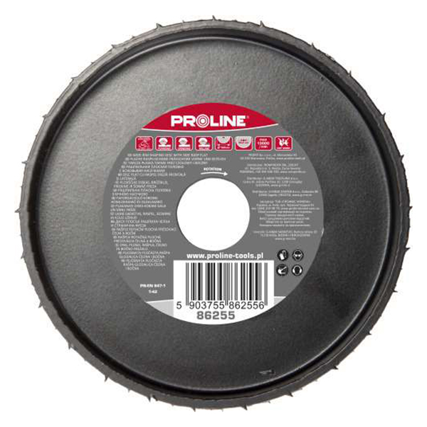 DISC RASPEL CAROTA PLAT / FRONTAL-LATERAL - 120MM DISC RASPEL CAROTA PLAT / FRONTAL-LATERAL - 120MM